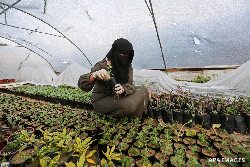 Palestinian woman Hanin Abu Salah, 26, works with her husband in a plant nursery, in Khan Yunis in the southern Gaza Strip on January 19, 2021. The rate of participation in the workforce in Gaza during the second quarter...