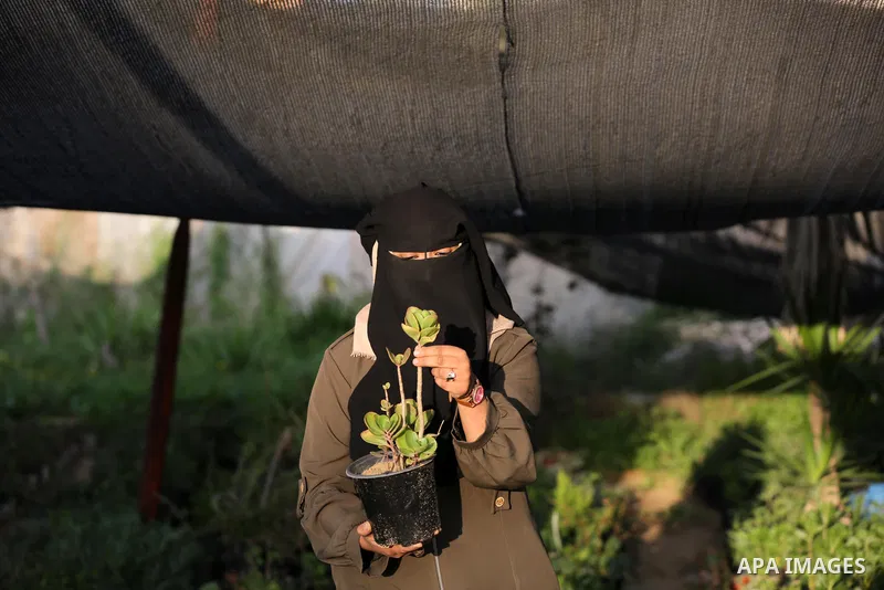 Palestinian woman Hanin Abu Salah, 26, works with her husband in a plant nursery, in Khan Yunis in the southern Gaza Strip on January 19, 2021. The rate of participation in the workforce in Gaza during the second quarter...