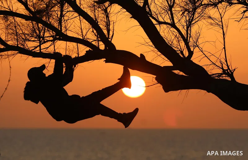 A Palestinian youth climbs a tree during a sunset on the beach of sea in Deir al-Balah in the center of Gaza Strip on Feb. 28, 2022. Photo by Ashraf Amra