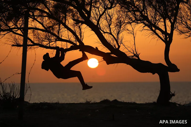 A Palestinian youth climbs a tree during a sunset on the beach of sea in Deir al-Balah in the center of Gaza Strip on Feb. 28, 2022. Photo by Ashraf Amra