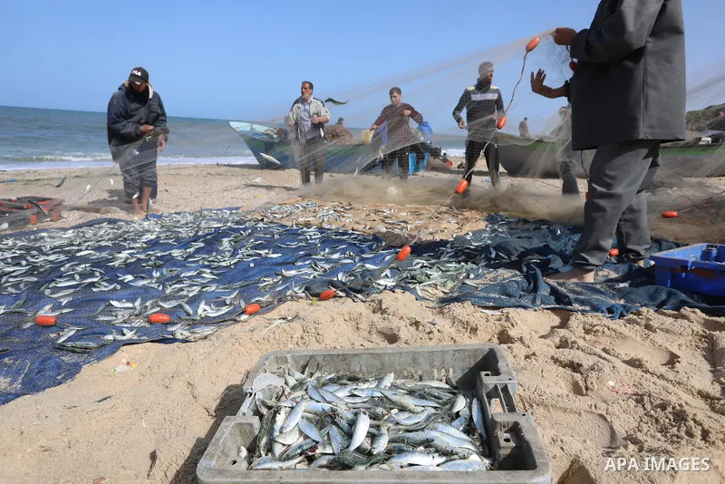 Palestinian fishermen collect caught fish from their nets on the beach in Deir al-Balah, in the central of Gaza Strip, on March 5, 2022. Photo by Ashraf Amra