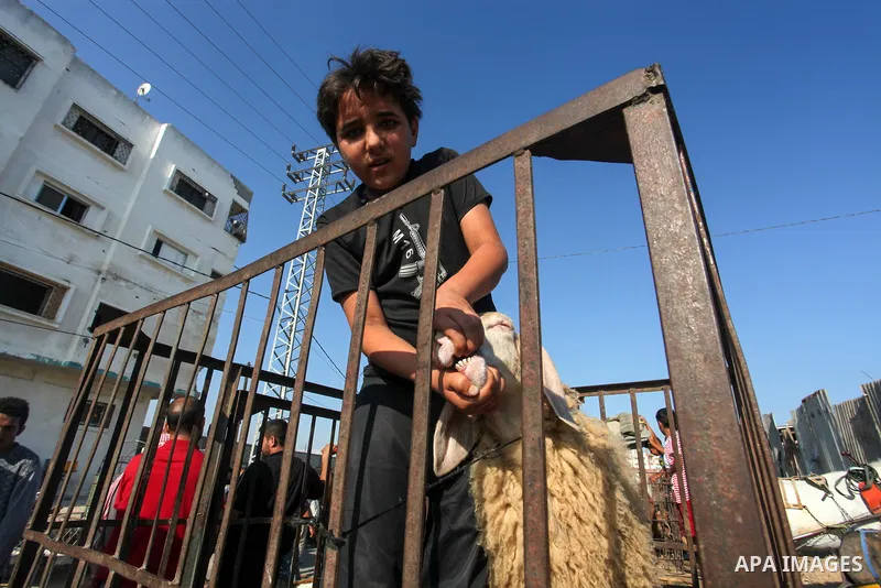 Palestinians buy sheep at a livestock market ahead of Eid al-Adha, in Gaza city on July 1, 2022. Eid al-Adha, or the feast of sacrifice, falls at this month when Muslims will slaughter sheep, goats, camels or calves. Pho...