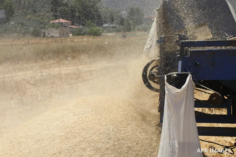 Palestinian farmers use a threshing machine as they harvest wheat crop at a field in al-Lubban al-Sharqiya village, south of Nablus city, in the West Bank on August 3, 2022. Global wheat consumption is headed for its big...