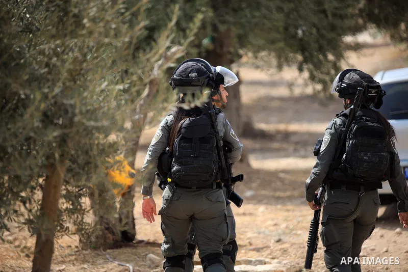 Palestinians argue with Israeli policemen who prevent them picking olives in the Arab neighbourhood of Silwan in Israel-annexed eastern Jerusalem amid Israeli calls for the control of Arab lands and olive picking by sett...