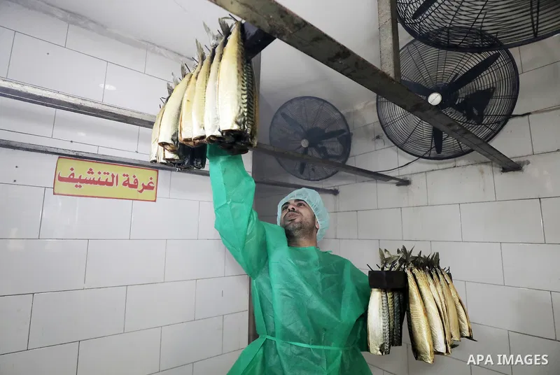 Palestinian men prepare Smoked Herring or, salted fish to be sold in markets days before of Eid al Fitr holiday at al-Maghazi refugee camp in the center of Gaza strip, on April 11, 2023. People flock markets and shopping...
