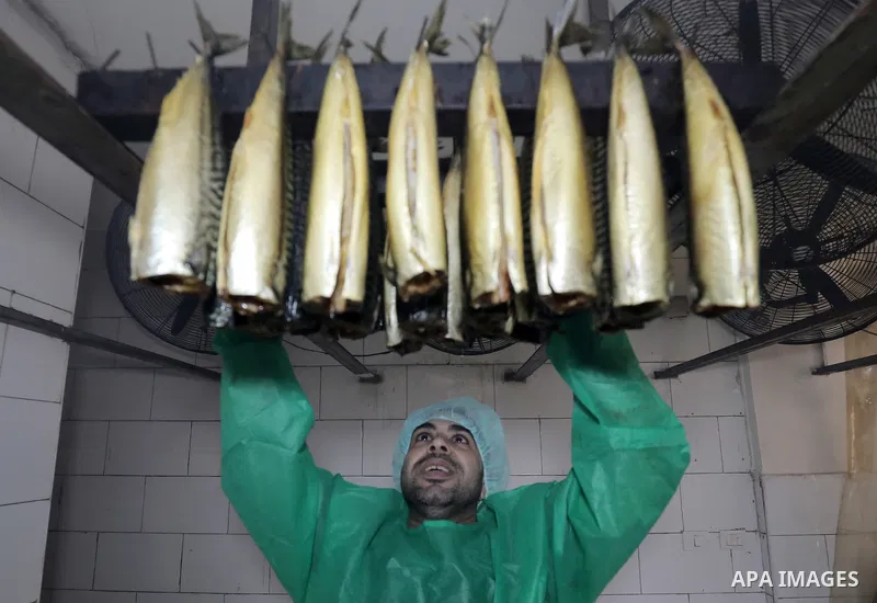 Palestinian men prepare Smoked Herring or, salted fish to be sold in markets days before of Eid al Fitr holiday at al-Maghazi refugee camp in the center of Gaza strip, on April 11, 2023. People flock markets and shopping...