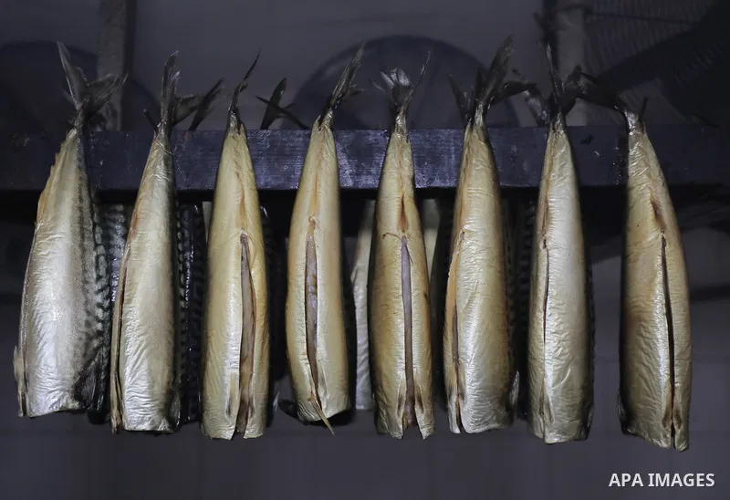 Palestinian men prepare Smoked Herring or, salted fish to be sold in markets days before of Eid al Fitr holiday at al-Maghazi refugee camp in the center of Gaza strip, on April 11, 2023. People flock markets and shopping...