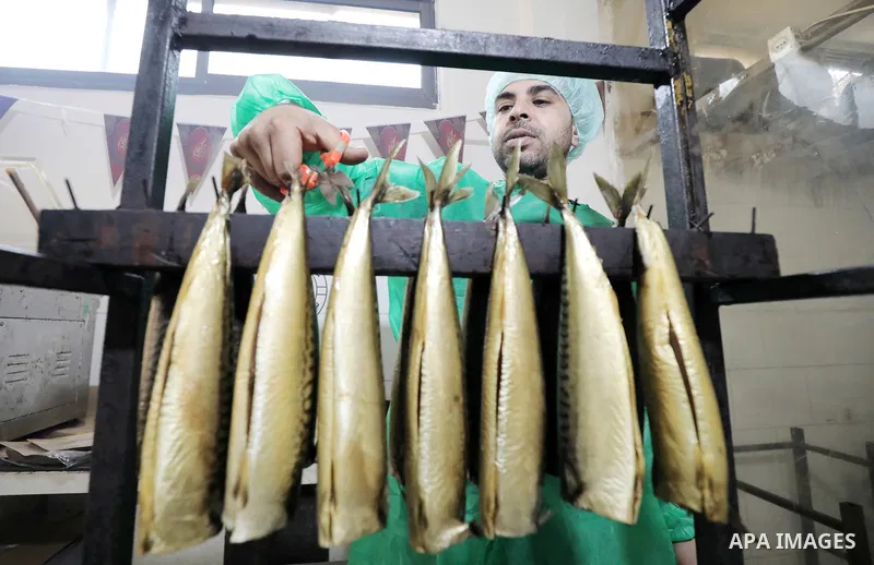 Palestinian men prepare Smoked Herring or, salted fish to be sold in markets days before of Eid al Fitr holiday at al-Maghazi refugee camp in the center of Gaza strip, on April 11, 2023. People flock markets and shopping...