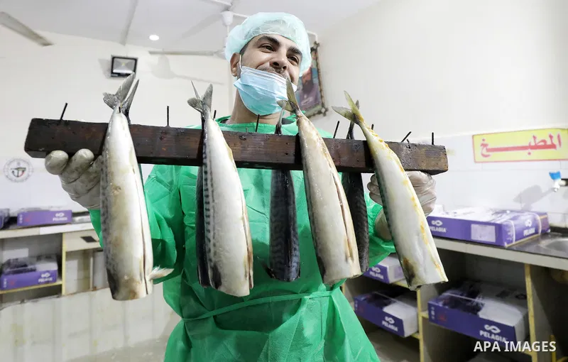 Palestinian men prepare Smoked Herring or, salted fish to be sold in markets days before of Eid al Fitr holiday at al-Maghazi refugee camp in the center of Gaza strip, on April 11, 2023. People flock markets and shopping...