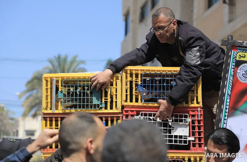 Palestinians take part in a pigeon homing event to solidarity with prisoners in Israeli jails in front of Red Cross Office in Gaza city on April 24, 2023. Photo by Belal Salem\ apaimages