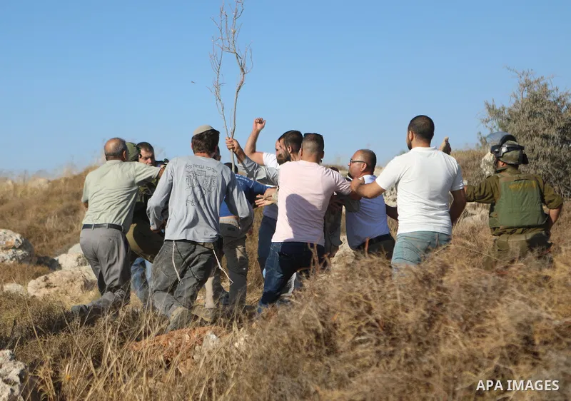 Palestinians scuffle with Israeli settlers who set up tents on lands in Halhoul village north of Hebron in the occupied West Bank, on August 1, 2023. Photo by Mamoun Wazwaz \ APAimages