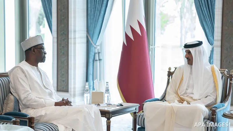 Qatar Emir Sheikh Tamim bin Hamad al-Thani receives Abdallah Diop, Minister of Foreign Affairs and International Cooperation of the Republic of Mali in Qatar on August 16, 2023. Photo by Emiri Diwan Office