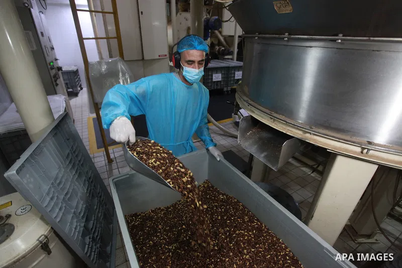 Palestinian men work at a coffee factory on the International coffee day in Gaza City, on October 1, 2023. International Coffee Day (1 October) is an occasion that is used to promote and celebrate coffee as a beverage, w...