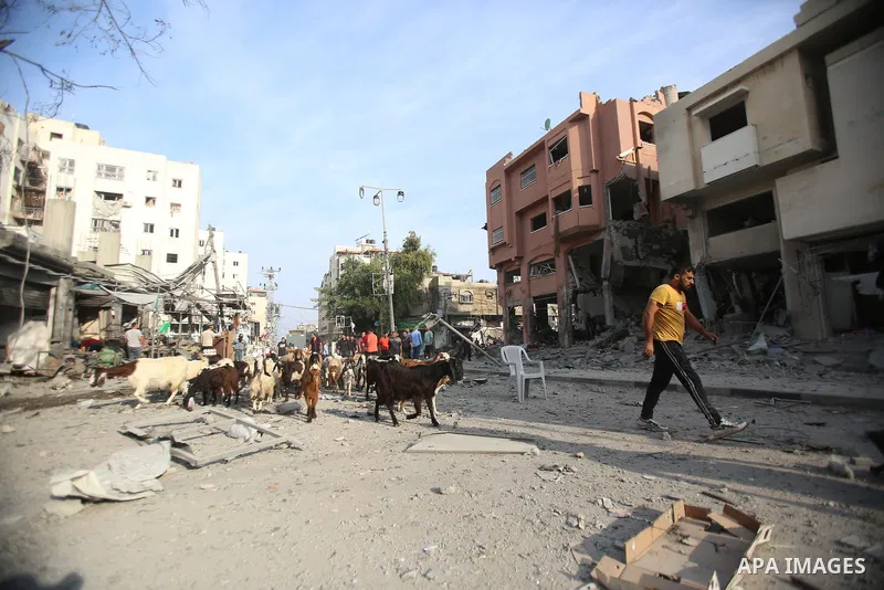 Palestinian families evacuates to safer areas following overnight Israeli shelling in Gaza city on October 11, 2023. Israel pounded Hamas targets in Gaza on October 11and said the bodies of 1,500 Islamist militants were...