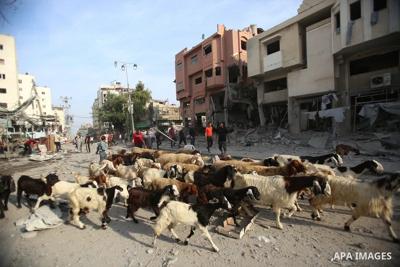 Palestinian families evacuates to safer areas following overnight Israeli shelling in Gaza city on October 11, 2023. Israel pounded Hamas targets in Gaza on October 11and said the bodies of 1,500 Islamist militants were...