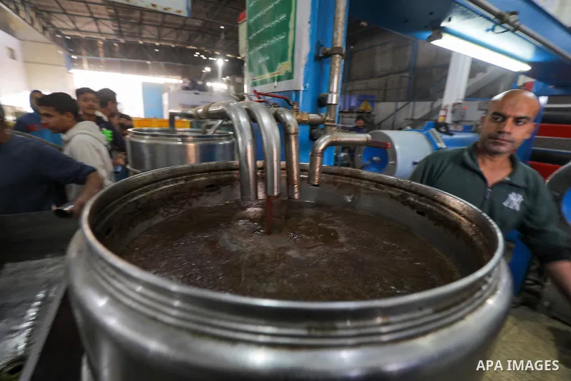 Palestinians make oil with freshly-harvested olives in Zawaida, in the central Gaza Strip on November 28, 2023, on the fourth day of a truce in fighting between Israel and Hamas. The Israeli government said on November 2...