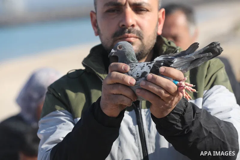 Palestinians take part in racing Pigeon sport as supporting of prisoner in Israeli jails on a beach along the Gaza sea barrier on the border with Israel near Kibbutz Zikim, north of Beit Lahia in the northern Gaza Strip...