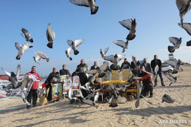 Palestinians take part in racing Pigeon sport as supporting of prisoner in Israeli jails on a beach along the Gaza sea barrier on the border with Israel near Kibbutz Zikim, north of Beit Lahia in the northern Gaza Strip...