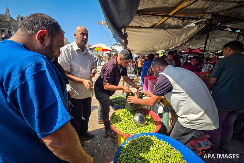 Palestinians display olives at a limited number of stalls in scattered locations west of Khan Younis, in the southern Gaza Strip, on October 3, 2026, after the city’s olive market was reduced to rubble. The harvest seaso...