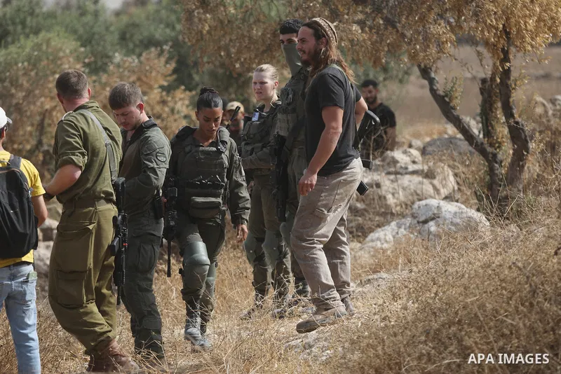 Palestinians and international peace activists take part in the olive harvest in the town of Idhna, west of Hebron, in the occupied West Bank, on October 13, 2026, before the Israeli army forced them to leave the area. A...
