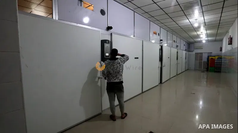 A Palestinian man checks fertilized eggs inside a hatchery. 0.1