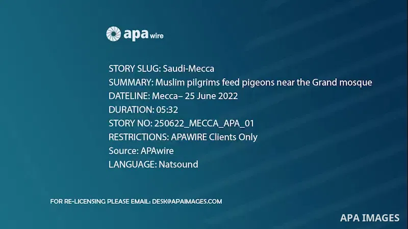 Muslim pilgrims feed pigeons near the Grand mosque in the holy Saudi city of Mecca, during annual Hajj pilgrimage