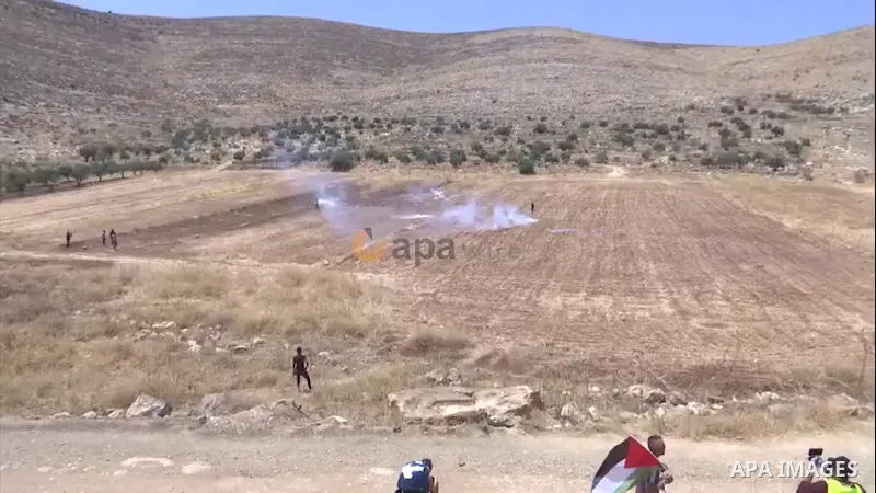 Palestinian protesters clash with Israeli forces during a demonstration against settlements in the village of Beit Dajan, near the West Bank city of Nablus. 0.1